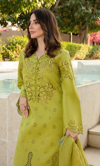 Lawn 3pc unstitche heavy chiken kari embroidered suit