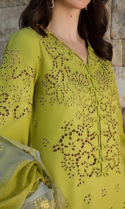 Lawn 3pc unstitche heavy chiken kari embroidered suit