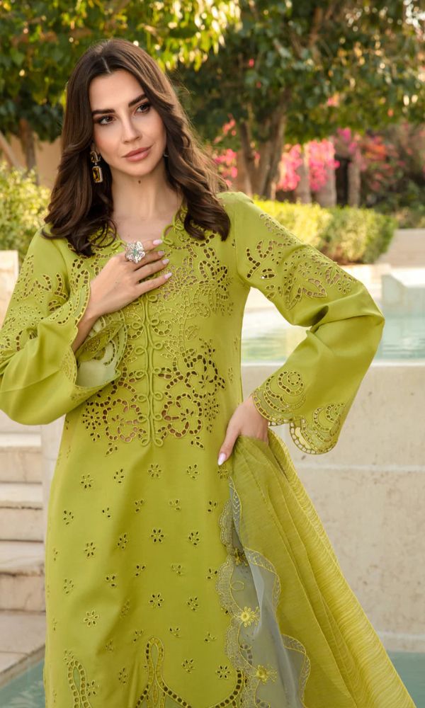 Lawn 3pc unstitche heavy chiken kari embroidered suit
