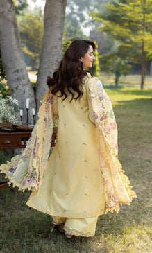 DHANAK Unstitched 3 Piece Embroidered Chikn Kari RTW Embroidered SHAWL - SOUCI